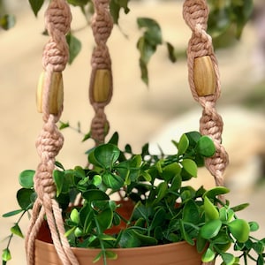Pode incluir: Um suporte de plantas de macramé com contas de madeira, segurando um vaso de terracota com plantas verdes de folha.