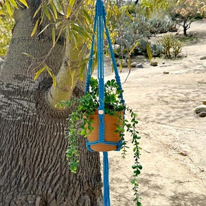Puede incluir: Un macetero de macramé azul con un anillo de madera en la parte superior, que sostiene una maceta de terracota con una planta verde. El macetero está colgado de una rama de árbol.