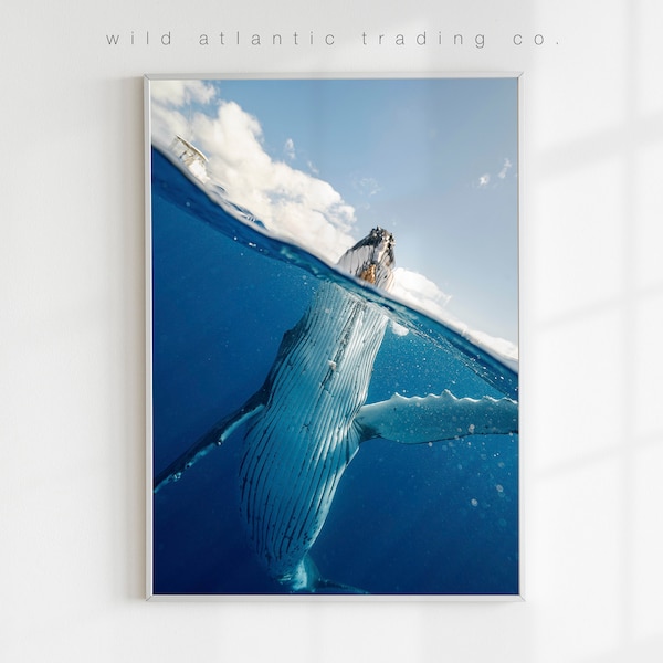 Printable Humpback Whale in Hawaii | Hawaii Marine Life, Hawaii Poster, Ocean Print, Whale Print, Whale Art, Blue Wall Art, Animal Prints
