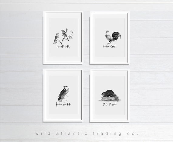 Printable Great Tits, Some Pecker, Nice Cock, Cute Beaver, Art Prints,  Bathroom Prints, Set of 4 Prints, Mid Century Modern, Hand Drawn Bird -   Sweden