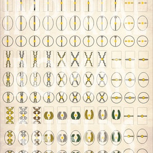 Op de afbeelding: Een vel met 72 verschillende schildontwerpen, elk met een uniek patroon en kleurenschema. De schilden zijn meestal wit, zilver en goud met zwarte contouren. Sommige schilden hebben een krans van bladeren, terwijl andere een eenvoudige cirkel of een reeks lijnen hebben.