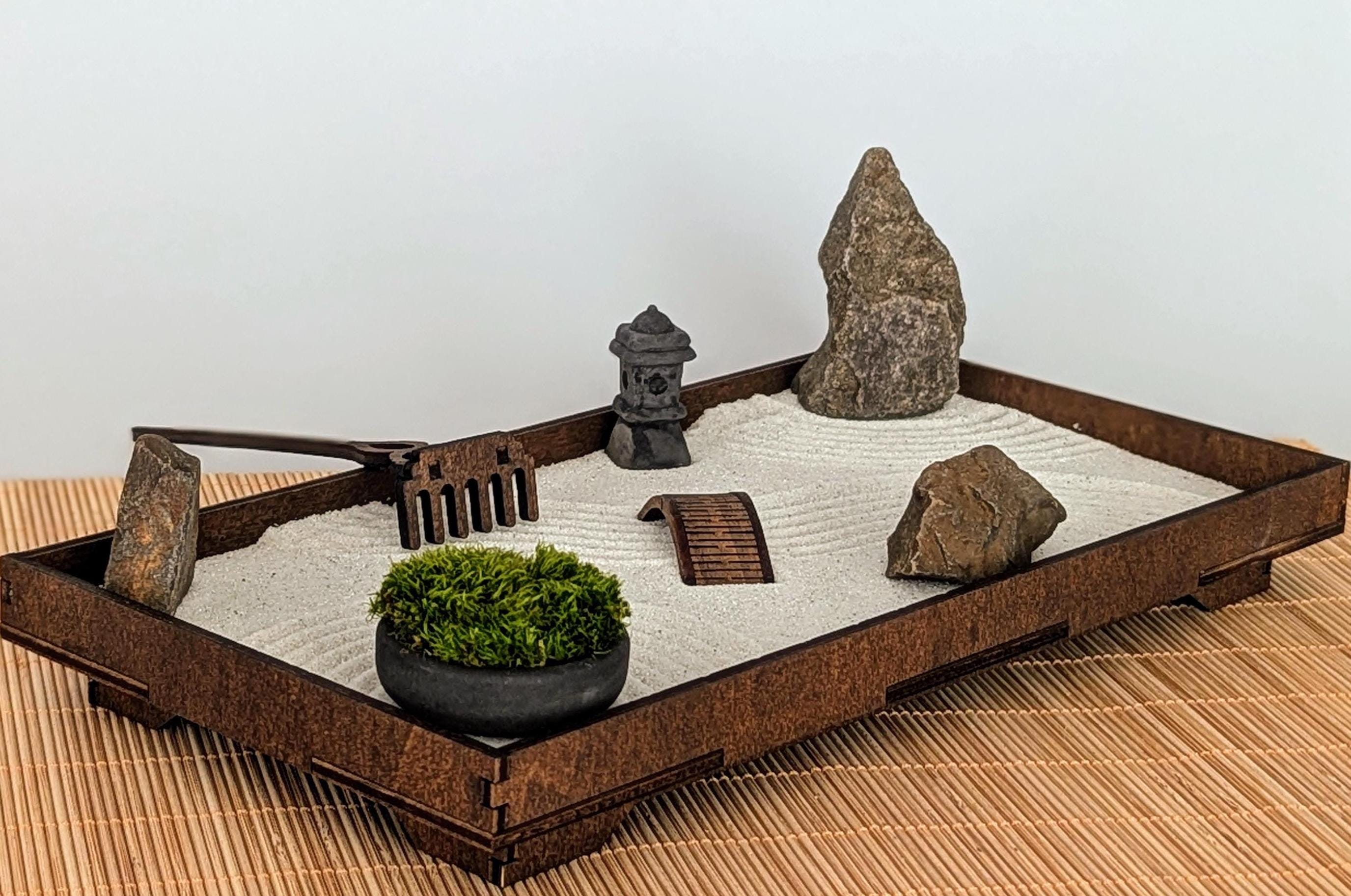 ulmus japonica bonsai Ulmus parvifolia 'Hokkaido' 8 Inch Ceramic – The Garden Corner main image 0