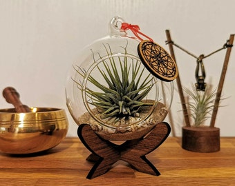 Glass ball with pendant - home decor with air plant - environmentally friendly - sustainable gift idea