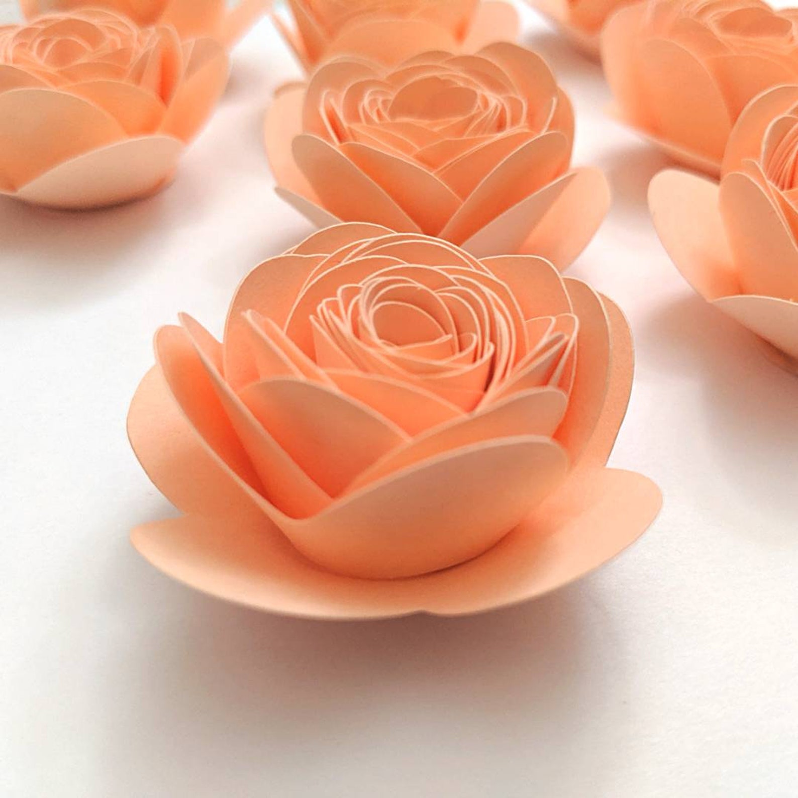 Peach Rolled Paper Roses 12pcs pre rolled Cardstock flowers Etsy