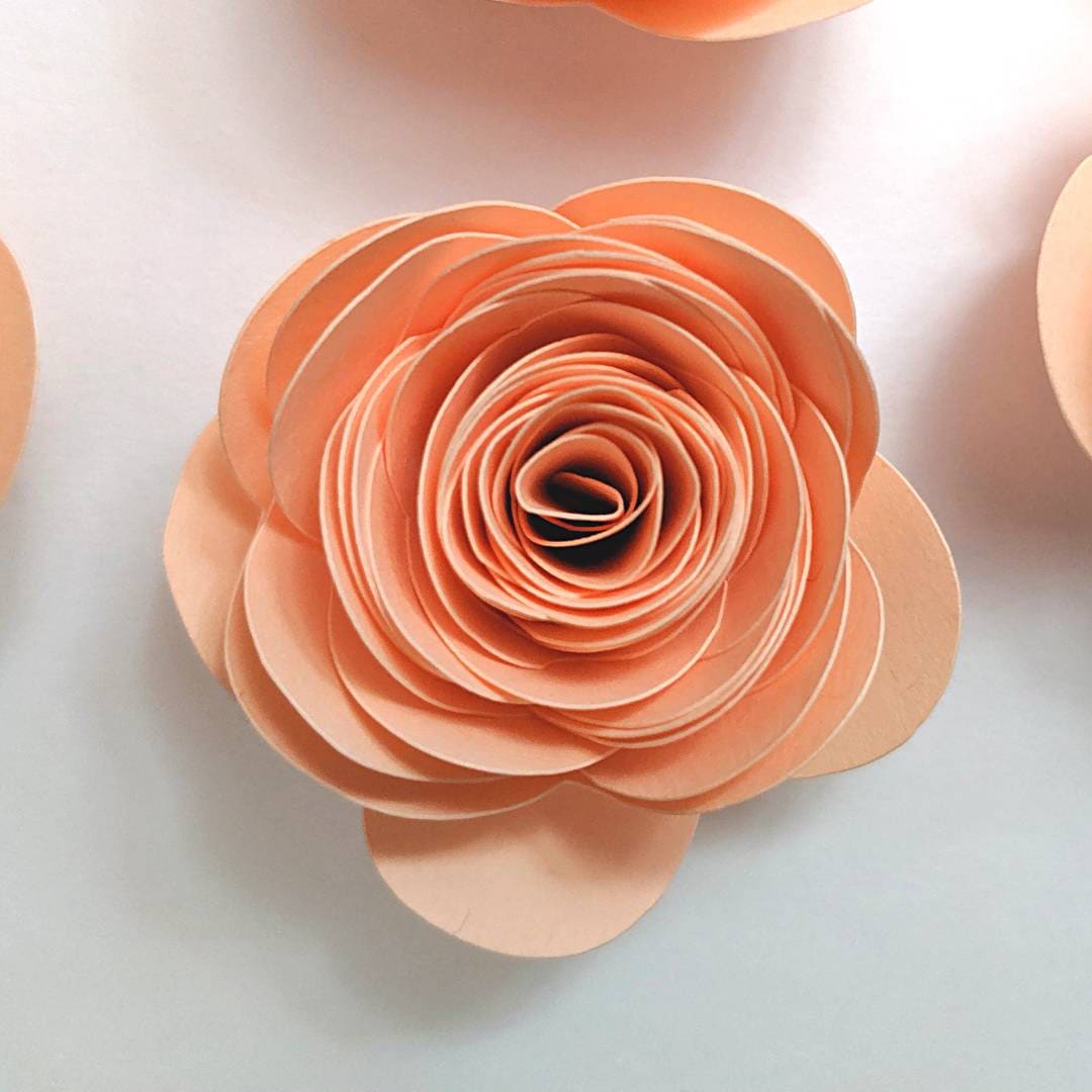 Peach Rolled Paper Roses 12pcs pre rolled Cardstock flowers Etsy