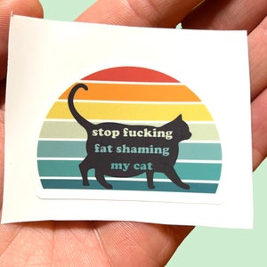 Stop F*cking Fat Shaming My Cat 2pcs Chonk Funny Stickers