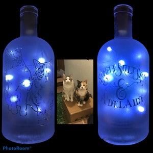 Your Pets on a Custom Lighted / Etched / Frosted Wine or Liquor Glass Bottle Lamp!