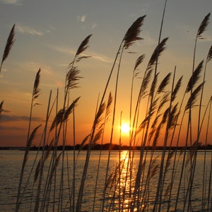 Sunset over the bay