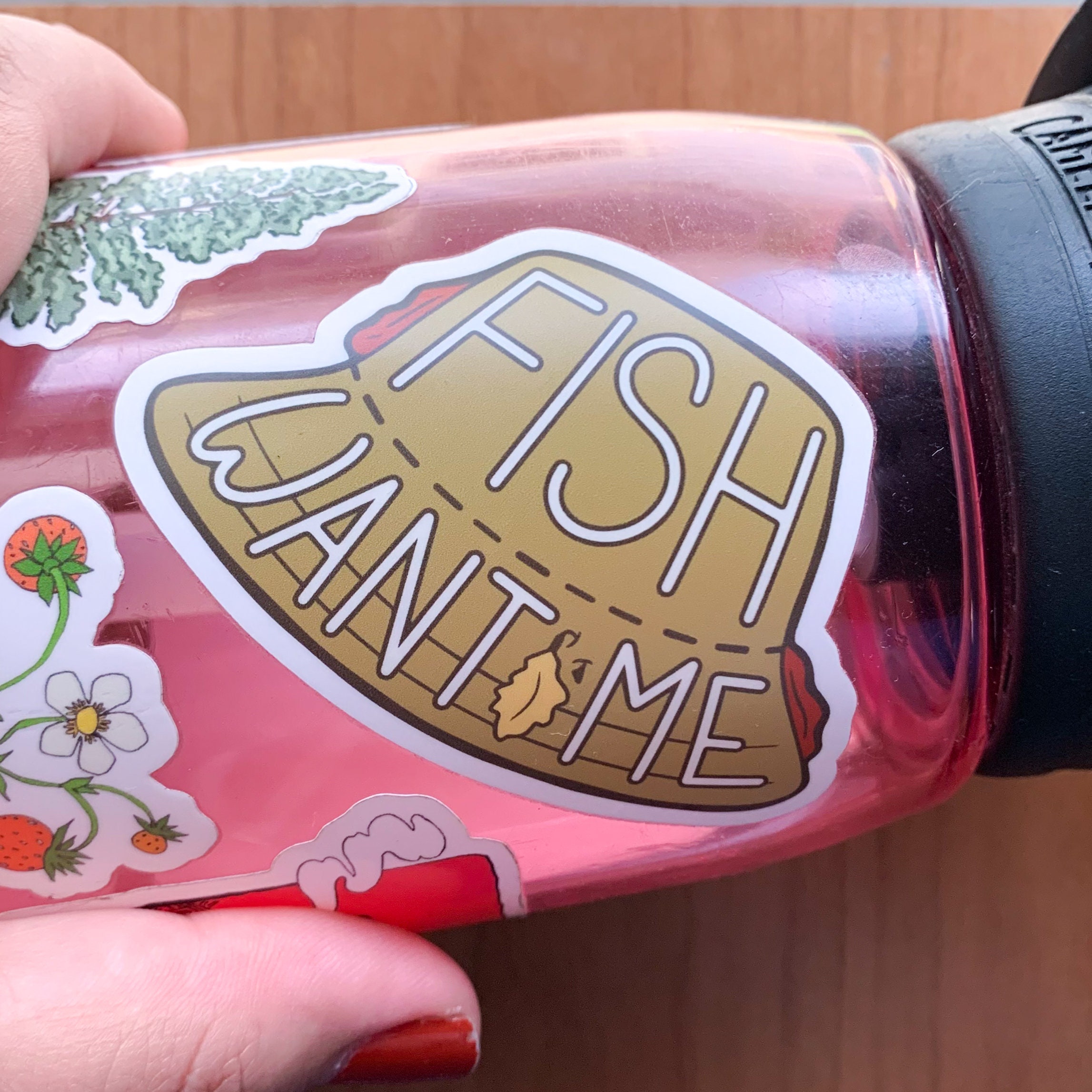 Fishing Sticker Set | Brook Trout | Rainbow Trout | Fishing Hat ...