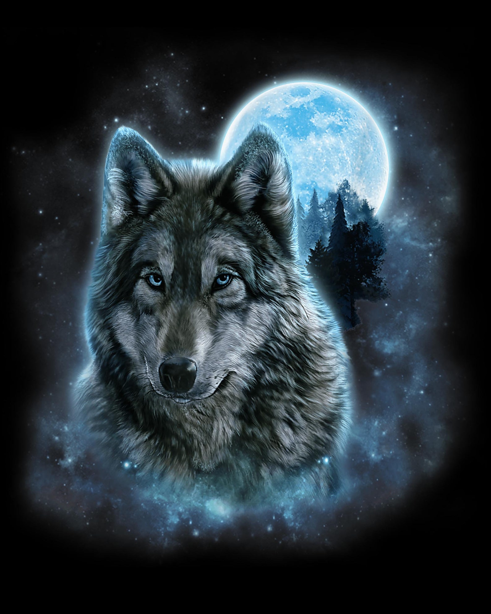 grey wolf express inc grey wolf express inc