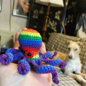 May include: A crocheted octopus toy with rainbow colored stripes and a single black eye. The octopus is sitting on a person's hand.