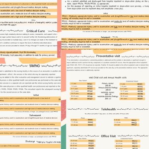 May include: A medical chart detailing ER visits, critical care, and hospital inpatient or observation care. The document includes medical codes and guidelines, with sections for initial and subsequent patient visits, and preventative care.