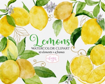 Watercolor lemon clipart PNG, citrus clipart, lemon frames PNG, lemon wreath clipart, commercial use png graphics, Hand painted fruit images