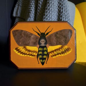 Death&#39;s-head Hawkmoth / Acherontia Lachesis Acrylic on Wood Painting