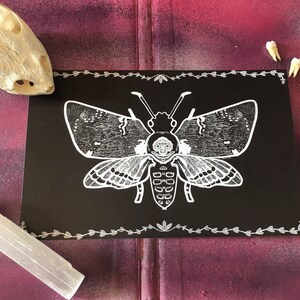 Original Deathhead Moth Goth Art Print