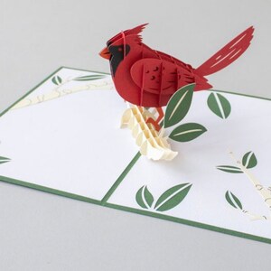 Carte pop-up Cardinal | carte 3D pour anniversaire | Jolie carte pour maman | Carte de fête des pères | carte oiseau pour lui | carte d'anniversaire pour petite amie