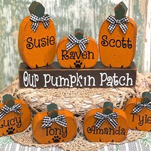 May include: Seven orange wooden pumpkin cutouts with green stems and black and white gingham bows. Each pumpkin features a name in black script, with some including a black paw print. A dark brown wooden block displays the text Our Pumpkin Patch.