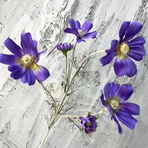 Vaporisateur Cosmos - Tige florale violette de 61 cm pour les compositions florales, les centres de table, les mariages, les événements et la décoration intérieure, les fleurs printemps-été