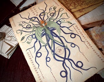 Pergamino de Polimorfismo: accesorio o regalo ideal para D&D y juegos de rol de mesa, arte fantástico