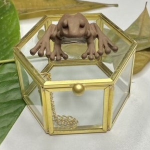 Chocolate Frog Gold and clear jewelry keepsake box, Keepsake box, Gold and clear jewelry box, Chocolate frog box, Potter fans, Wizarding