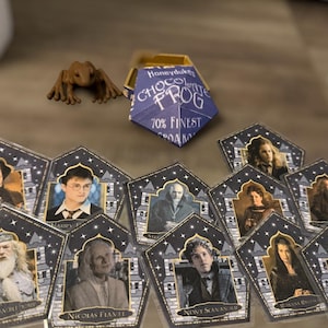 Hand Painted - Customized Chocolate Frog and Box: Harry Collectible with Trading Cards