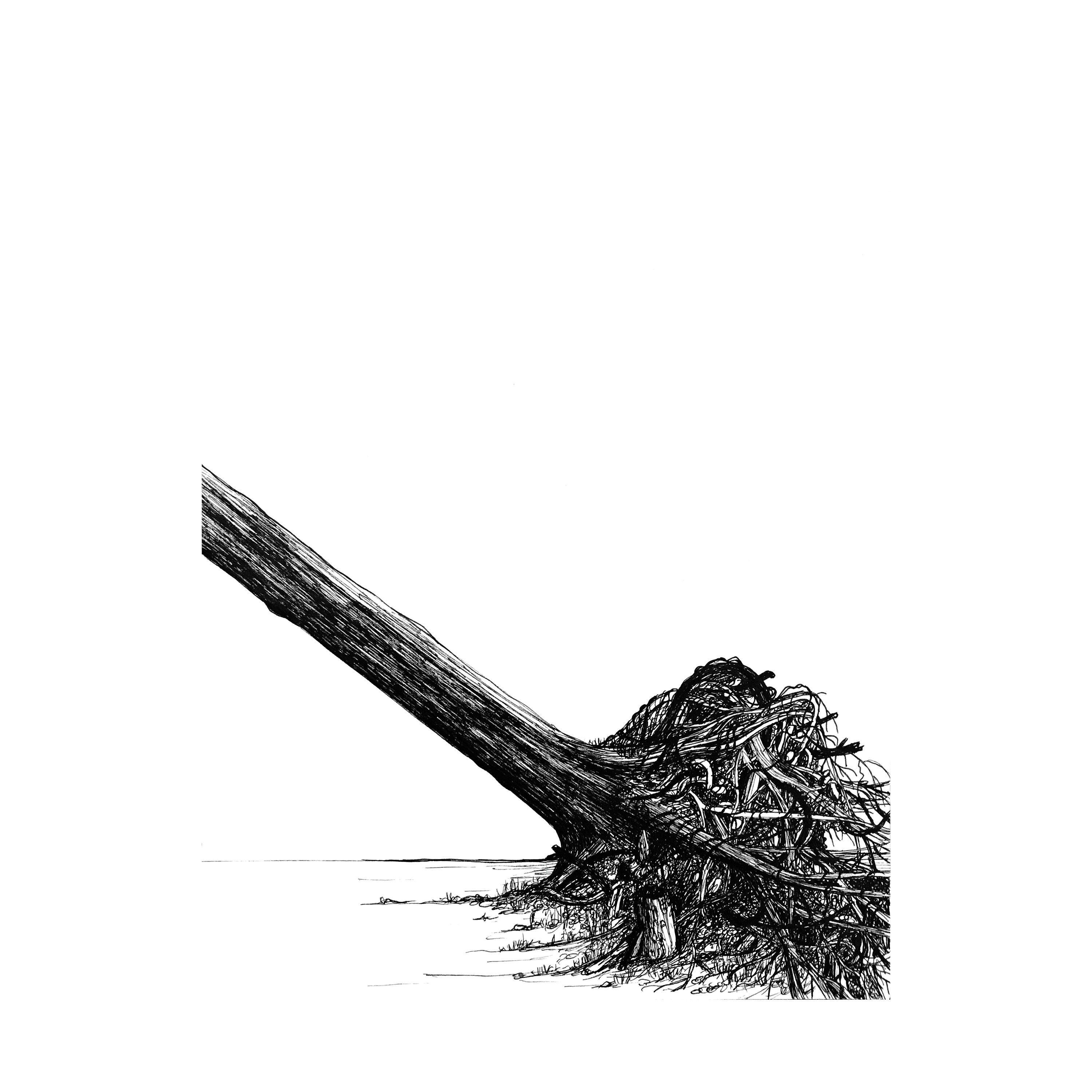 Affiche A5 Arbre, Luis, Dessin, Édition Limitée et Signée | Vendu Sans Cadre