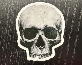 Pegatina de calavera - Impresión basada en el original pintado - Calcomanía mate y duradera