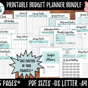 Digital Budget Planner Printable Budget Binder Budget Printable Budget Book Monthly Budget Planner Annual Finance Tracker Budget Template