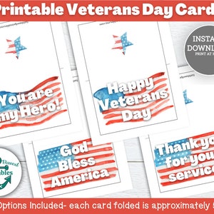 Federal government veterans day observed