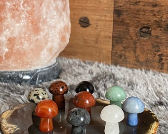 Healing Stone Mini Mushroom Carving | Mystery Pick