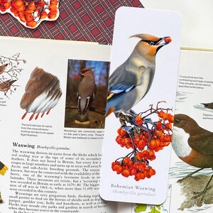 Marcador de cera, marcador de pássaros para amantes da natureza, observadores de pássaros, observadores de pássaros, ecologistas