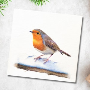 Robin-wenskaart, verjaardagskaart, wilde dieren in de tuin, natuurwenskaart, vogelwenskaart, kerstkaart