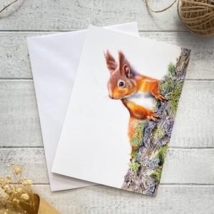 Cartão de felicitações do esquilo vermelho, cartão de aniversário, vida selvagem britânica, cartão de felicitações da vida selvagem, cartão de felicitações de pássaros, cartão à beira-mar