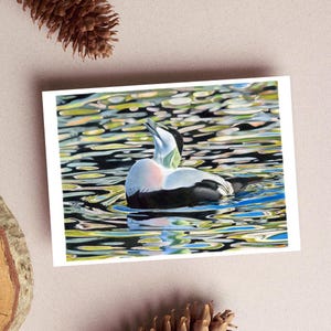 Cartão de felicitações de pato eider no mar, cartão de aniversário, vida selvagem britânica, cartão de felicitações de vida selvagem, cartão de felicitações de pássaros, cartão de dia das mães