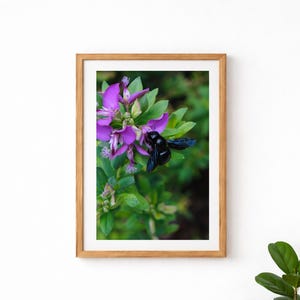Violett snickarbi - digital bild