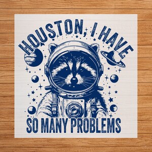 Houston DTF Transfer, I Have So Many Problems Funny Raccoon, Cartoon Design, Quirky Apparel, Ready to Press, Iron on Decal, DIY Craft Supply