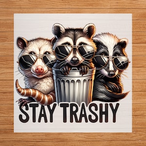 Stay Trashy Raccoon DTF Transfer, Playful & Fun Design for T-Shirts and Hoodies, DIY High-Quality Print, Celebrate Your Unique Style Boldly