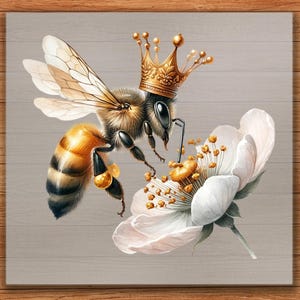 Crowned Bee DTF Transfer, Queen Bee on White Flower Design, Ready to Press DIY Iron-On for Nature Apparel and Garden Gifts
