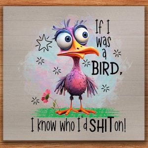 Sarcastic Bird DTF Transfer: Funny Animal Print, DIY Shirt Art