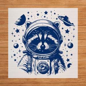 Houston DTF Transfer, I Have So Many Problems Funny Raccoon, Cartoon Design, Quirky Apparel, Ready to Press, Iron on Decal, DIY Craft Supply