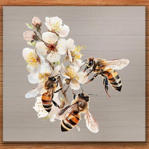 Floral Bees DTF Transfer, White Flower and Honeybee Art Print, Ready to Press DIY Shirt for Beekeepers and Garden Fans
