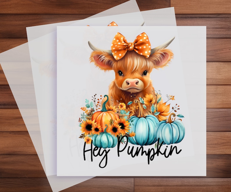 Op de afbeelding: Waterverfillustratie van een Schotse Hooglandkoe met een oranje strik met stippen, omringd door pompoenen en zonnebloemen. De tekst "Hey Pumpkin" is geschreven in een scriptlettertype. Het kleurenpalet omvat oranje, blauwgroen en bruin.