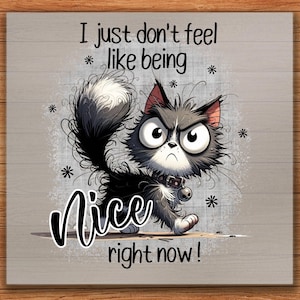 May include: A cartoon illustration of a grumpy black and gray cat with large eyes and a bell collar. The text "I just don't feel like being Nice right now!" is displayed above and below the cat, with star accents.