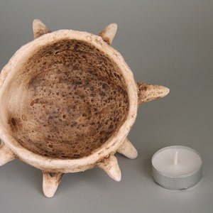 Puede incluir: Un portavelas de cer&aacute;mica blanca con un dise&ntilde;o de estrella de mar con p&uacute;as. El portavelas tiene un interior marr&oacute;n texturizado y est&aacute; dise&ntilde;ado para sostener una vela peque&ntilde;a y redonda.
