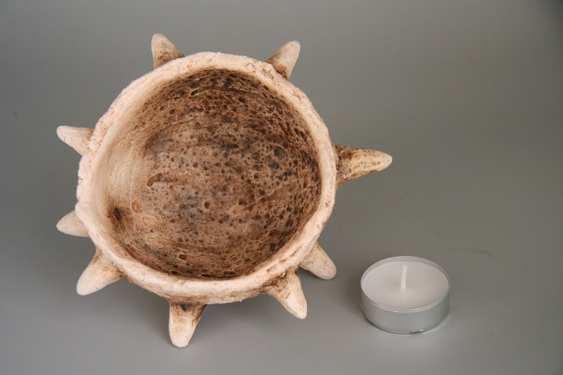 Puede incluir: Un portavelas de cer&aacute;mica blanca con un dise&ntilde;o de estrella de mar con p&uacute;as. El portavelas tiene un interior marr&oacute;n texturizado y est&aacute; dise&ntilde;ado para sostener una vela peque&ntilde;a y redonda.