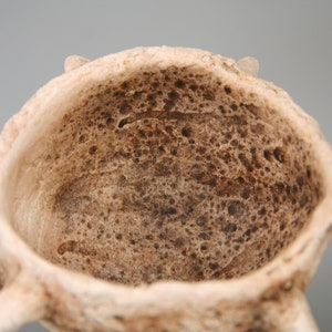 Puede incluir: Primer plano del interior de un cuenco de cer&aacute;mica con una superficie rugosa y texturizada. El cuenco tiene una abertura ancha y redonda y una serie de protuberancias puntiagudas alrededor del borde.