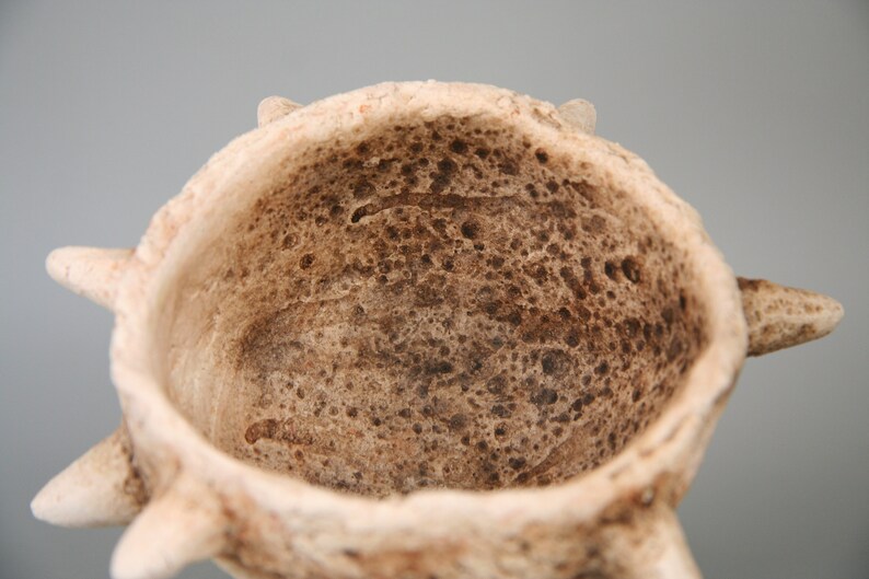 Puede incluir: Primer plano del interior de un cuenco de cer&aacute;mica con una superficie rugosa y texturizada. El cuenco tiene una abertura ancha y redonda y una serie de protuberancias puntiagudas alrededor del borde.
