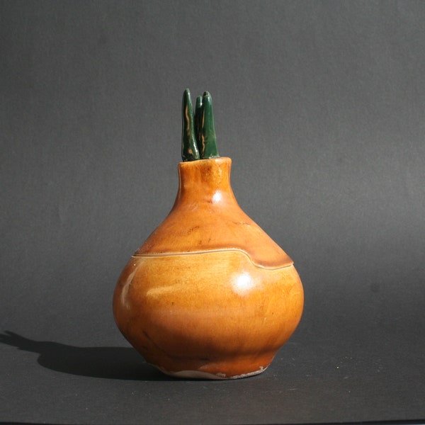 Ceramic Onion Jar Etsy