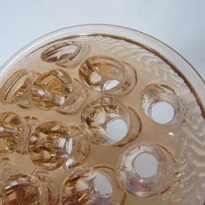 May include: A close-up of a clear, peach-colored flower frog with multiple holes. The flower frog has a circular shape with a textured rim. The holes are of varying sizes and shapes, designed to hold flower stems.