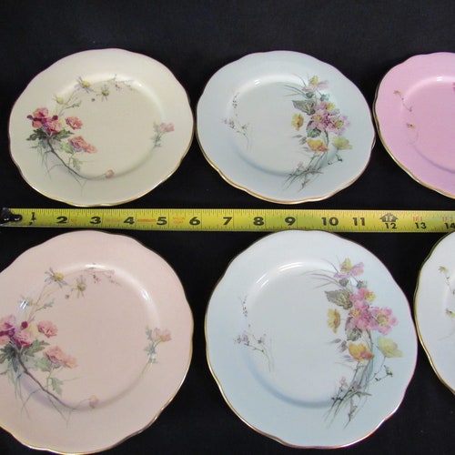 Baily Banks & Biddle Royal Worcester 6